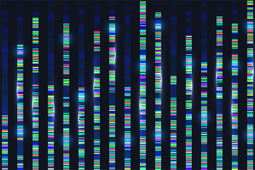 genomic sequence